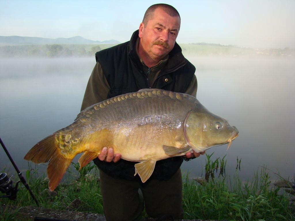 Cipibaits - 00106937.jpg